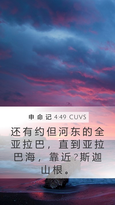 申 命 记 4:49 CUVS Bible Verse Image