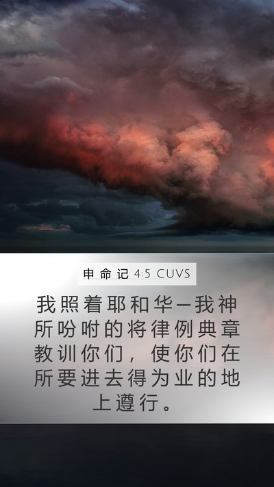 申 命 记 4:5 CUVS Bible Verse Image