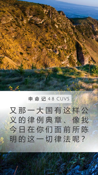 申 命 记 4:8 CUVS Bible Verse Image