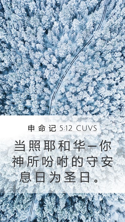 申 命 记 5:12 CUVS Mobile Phone Wallpaper - 当 照 耶 和 华 ─ 你 神 所 吩 咐 的 - Mobile Bible Verse Wallpaper