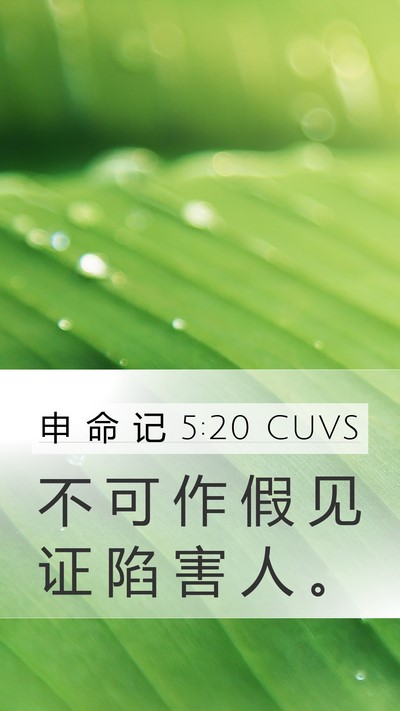 申 命 记 5:20 CUVS Mobile Phone Wallpaper - 不 可 作 假 见 证 陷 害 人 - Mobile Bible Verse Wallpaper