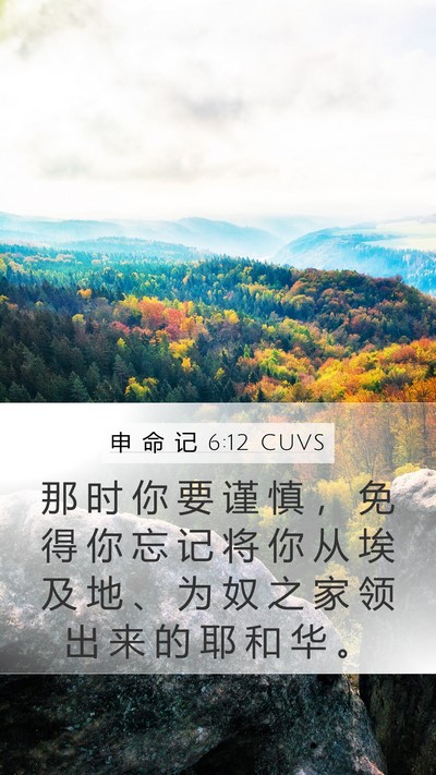 申 命 记 6:12 CUVS Bible Verse Image