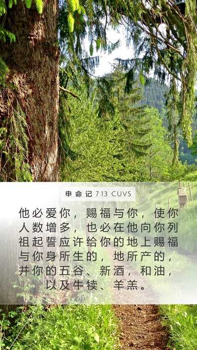 申 命 记 7:13 CUVS Bible Verse Image