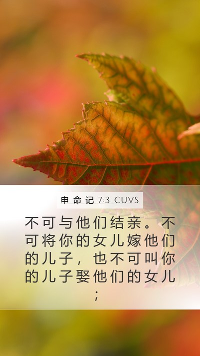 申 命 记 7:3 CUVS Bible Verse Image