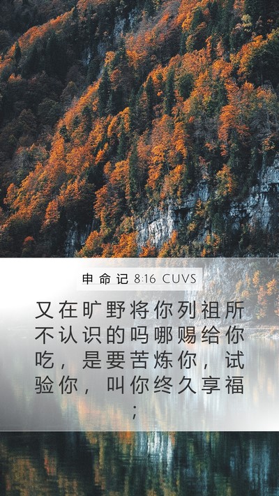申 命 记 8:16 CUVS Bible Verse Image