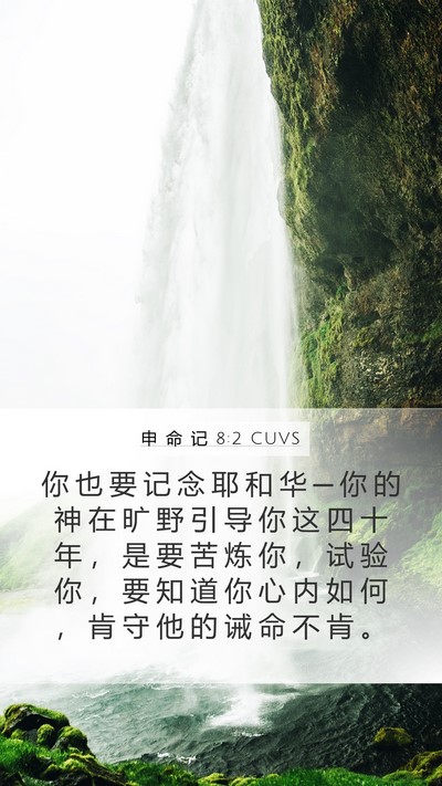 申 命 记 8:2 CUVS Bible Verse Image