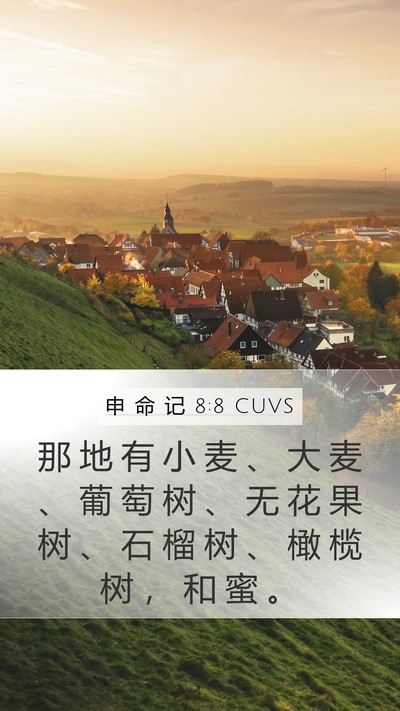 申 命 记 8:8 CUVS Bible Verse Image