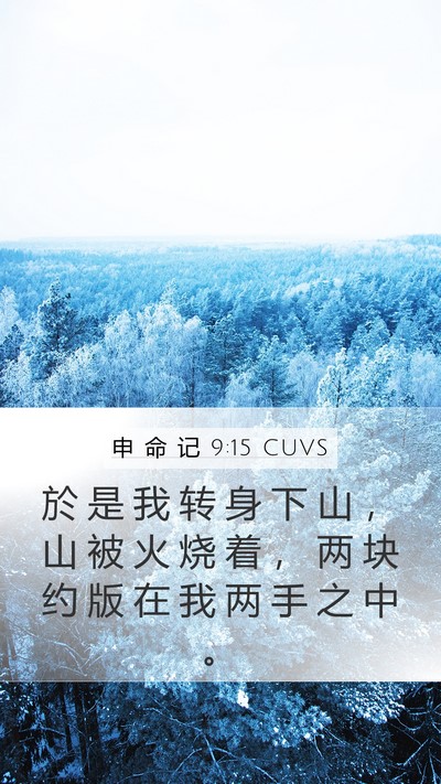 申 命 记 9:15 CUVS Bible Verse Image