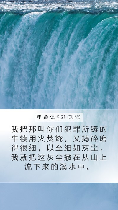 申 命 记 9:21 CUVS Bible Verse Image
