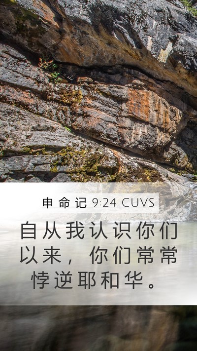 申 命 记 9:24 CUVS Bible Verse Image