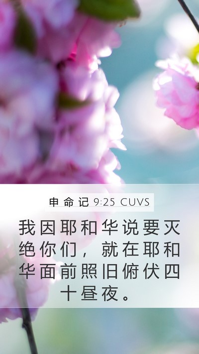 申 命 记 9:25 CUVS Bible Verse Image