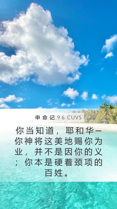 申 命 记 9:6 CUVS Bible Verse Image