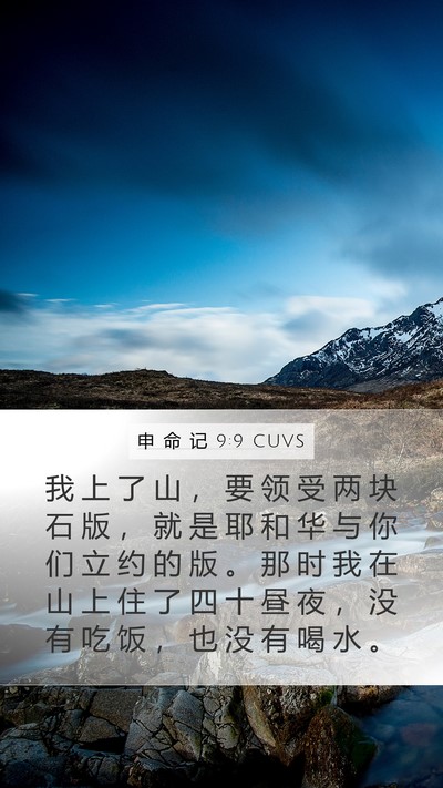 申 命 记 9:9 CUVS Bible Verse Image