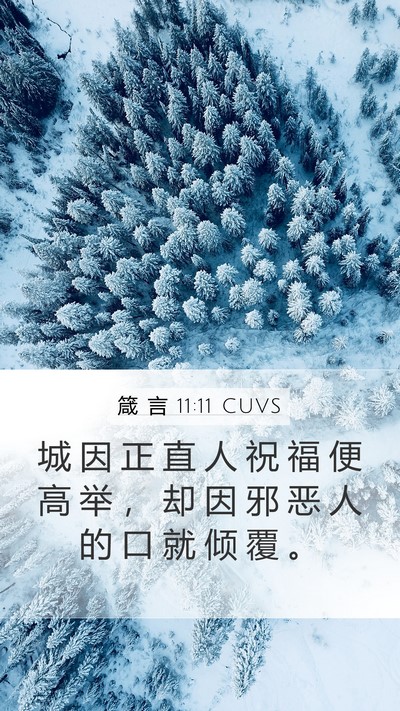 箴 言 11:11 CUVS Mobile Phone Wallpaper - 城 因 正 直 人 祝 福 便 高 举 ， 却 - Mobile Bible Verse Wallpaper