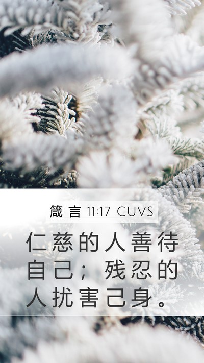 箴 言 11:17 CUVS Bible Verse Image