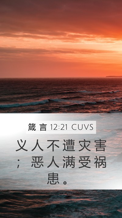 箴 言 12:21 CUVS Bible Verse Image