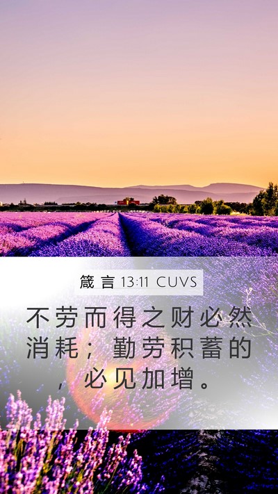 箴 言 13:11 CUVS Bible Verse Image