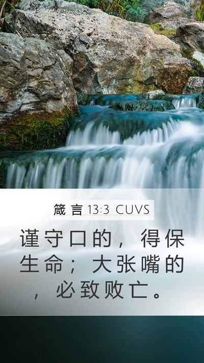箴 言 13:3 CUVS Bible Verse Image