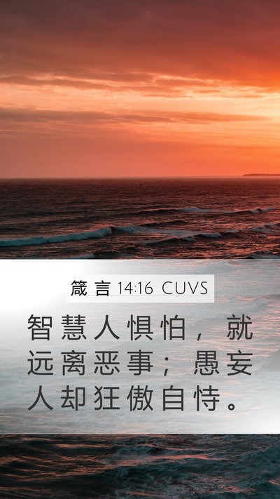 箴 言 14:16 CUVS Bible Verse Image