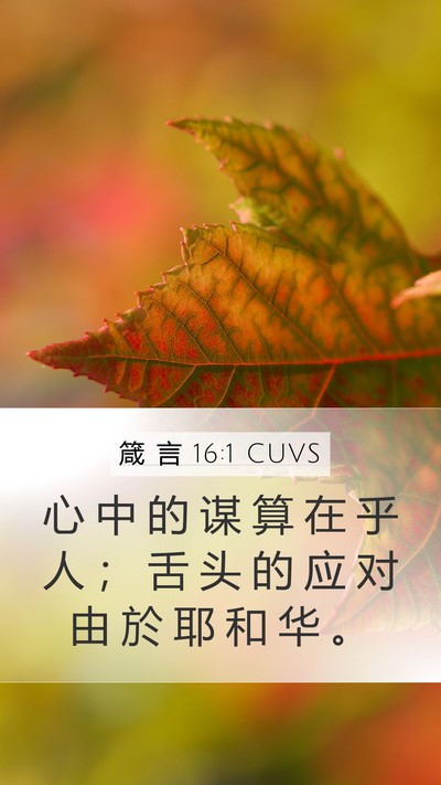 箴 言 16:1 CUVS Bible Verse Image