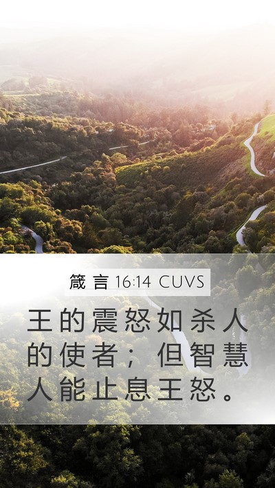 箴 言 16:14 CUVS Bible Verse Image