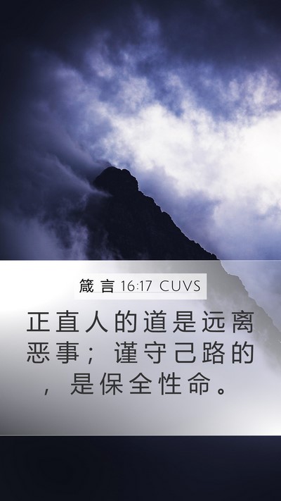 箴 言 16:17 CUVS Bible Verse Image
