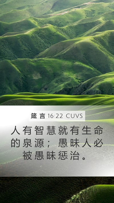 箴 言 16:22 CUVS Bible Verse Image