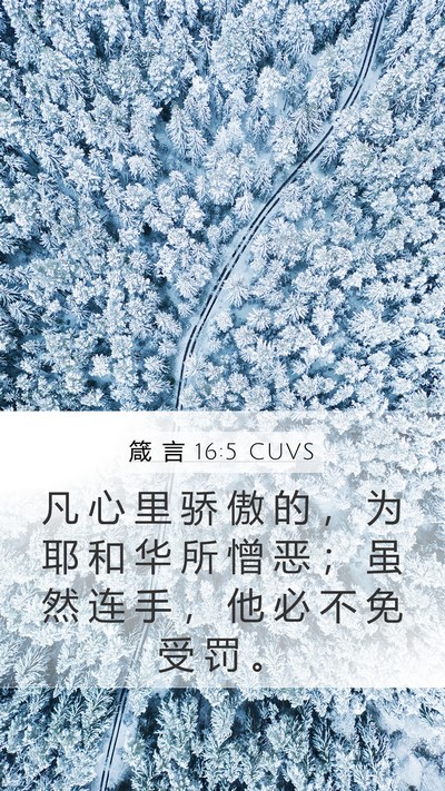 箴 言 16:5 CUVS Mobile Phone Wallpaper - 凡 心 里 骄 傲 的 ， 为 耶 和 华 所 - Mobile Bible Verse Wallpaper