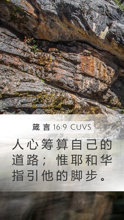 箴 言 16:9 CUVS Bible Verse Image