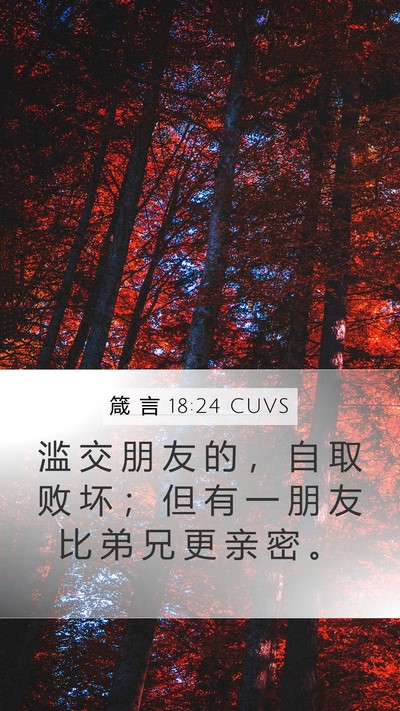 箴 言 18:24 CUVS Bible Verse Image