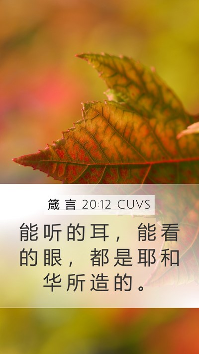 箴 言 20:12 CUVS Bible Verse Image