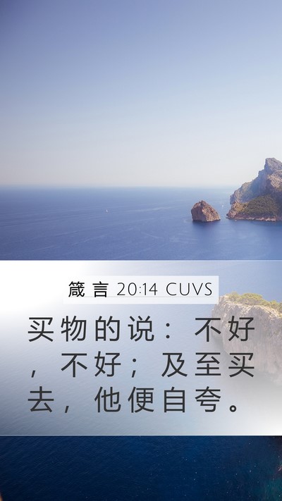 箴 言 20:14 CUVS Bible Verse Image