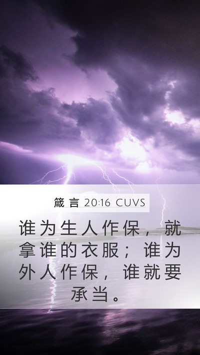 箴 言 20:16 CUVS Bible Verse Image