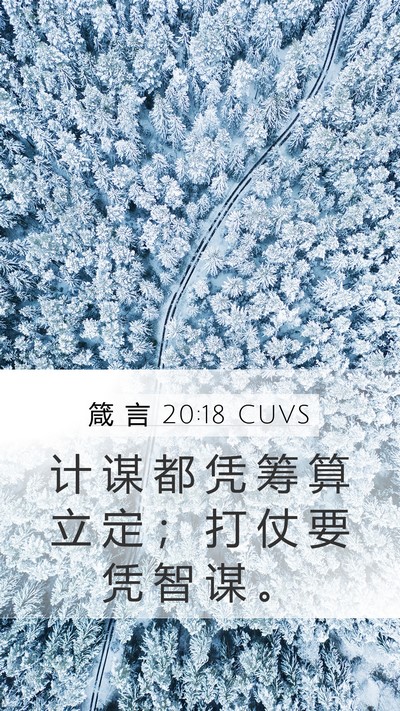 箴 言 20:18 CUVS Bible Verse Image