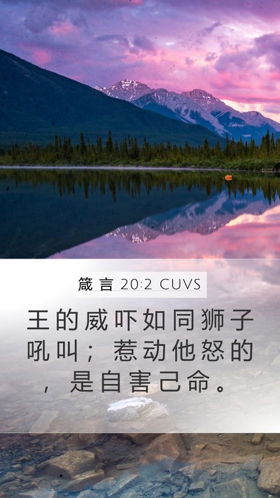 箴 言 20:2 CUVS Bible Verse Image