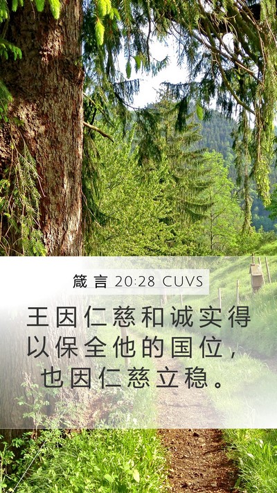 箴 言 20:28 CUVS Bible Verse Image