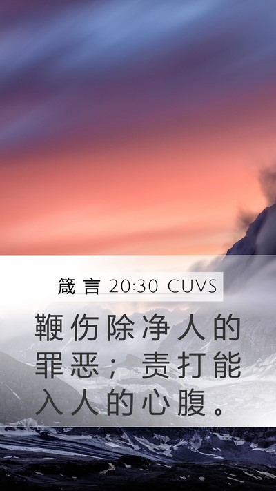 箴 言 20:30 CUVS Bible Verse Image