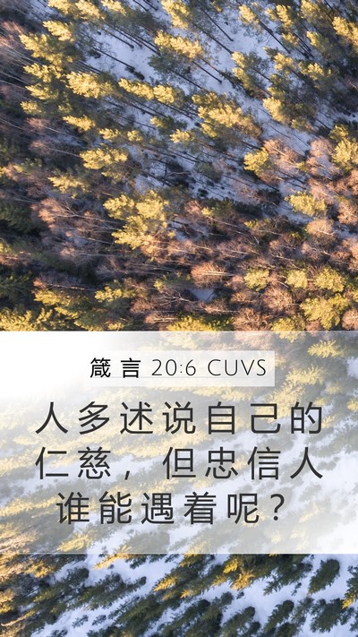 箴 言 20:6 CUVS Bible Verse Image