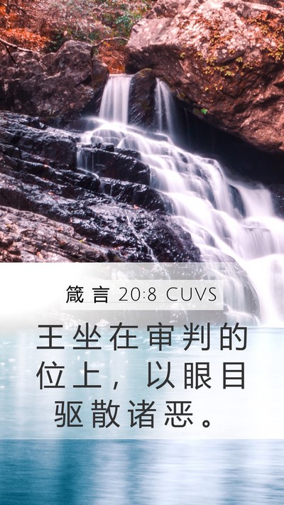 箴 言 20:8 CUVS Bible Verse Image