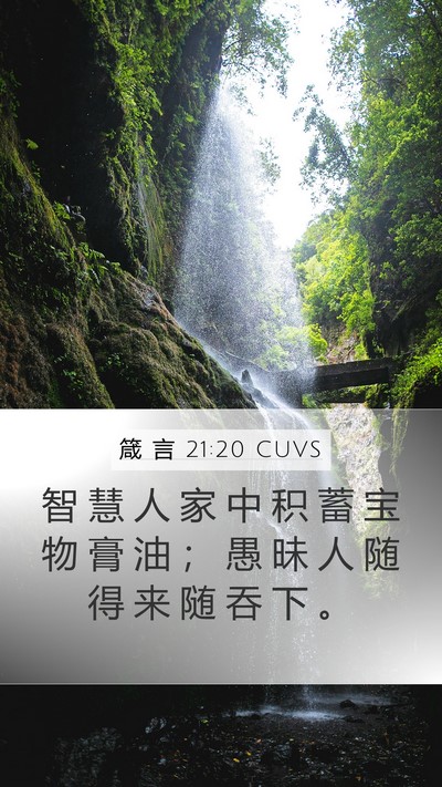 箴 言 21:20 CUVS Bible Verse Image