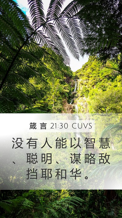 箴 言 21:30 CUVS Bible Verse Image