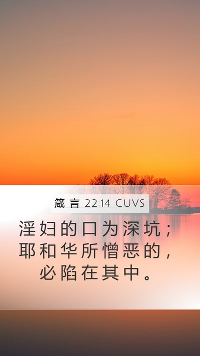 箴 言 22:14 CUVS Bible Verse Image