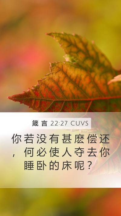 箴 言 22:27 CUVS Mobile Phone Wallpaper - 你 若 没 有 甚 麽 偿 还 ， 何 必 使 - Mobile Bible Verse Wallpaper
