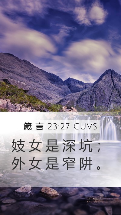 箴 言 23:27 CUVS Mobile Phone Wallpaper - 妓 女 是 深 坑 ； 外 女 是 窄 阱 - Mobile Bible Verse Wallpaper
