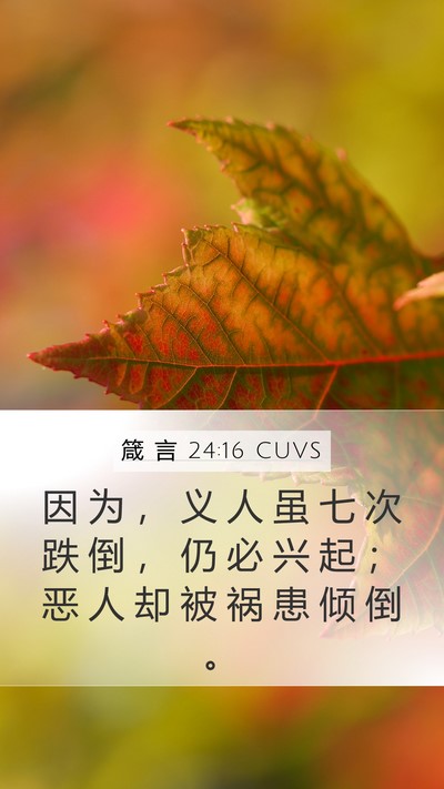 箴 言 24:16 CUVS Bible Verse Image