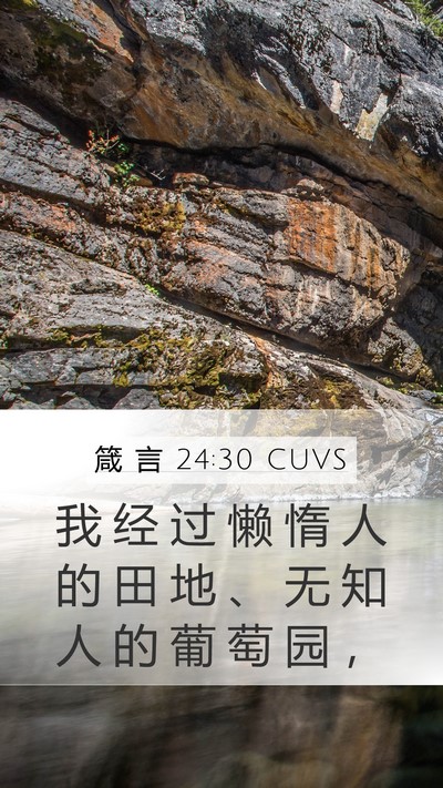 箴 言 24:30 CUVS Bible Verse Image