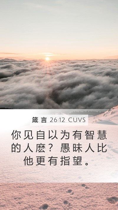箴 言 26:12 CUVS Mobile Phone Wallpaper - 你 见 自 以 为 有 智 慧 的 人 麽 ？ - Mobile Bible Verse Wallpaper