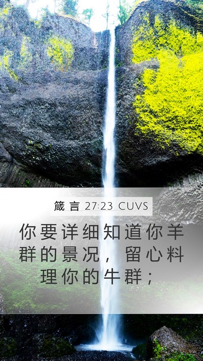 箴 言 27:23 CUVS Bible Verse Image