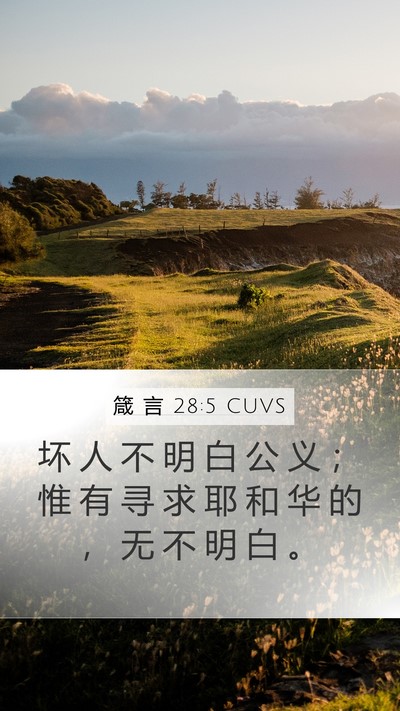 箴 言 28:5 CUVS Bible Verse Image