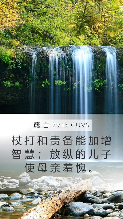 箴 言 29:15 CUVS Bible Verse Image